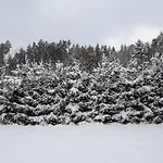 Smrekowa W Milowce Lägenhet