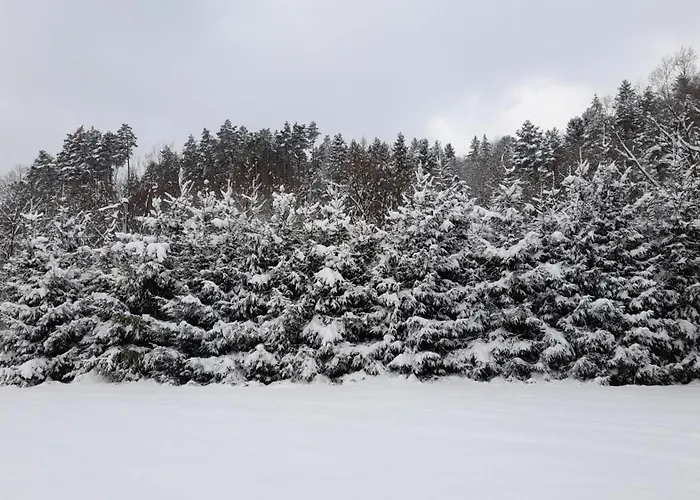 Smrekowa W Milowce דירה